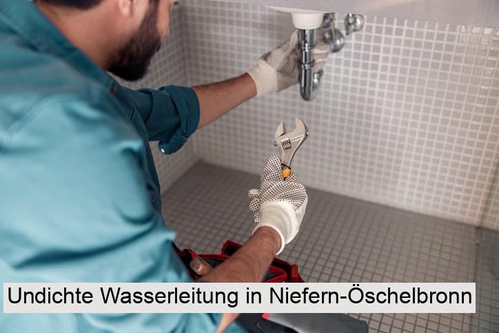 Undichte Wasserleitung in Niefern-Öschelbronn